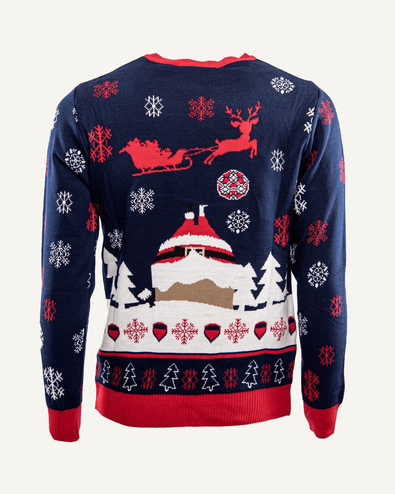 Pull de noël Torix